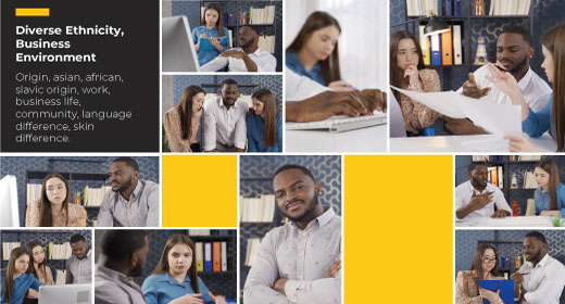 Diverse Ethnicity, Business Environment