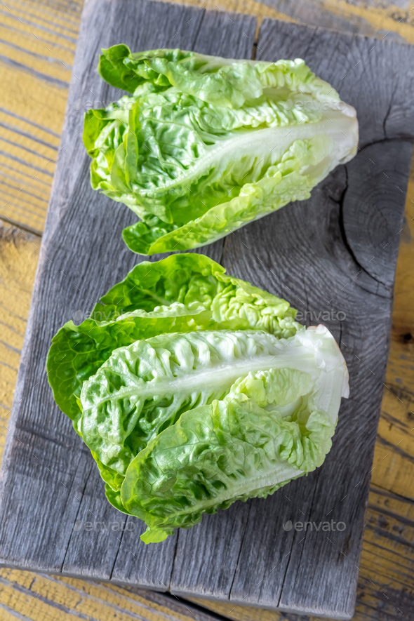 Heads of Romaine lettuce - Stock Photo - Images
