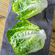 Heads of Romaine lettuce - PhotoDune Item for Sale