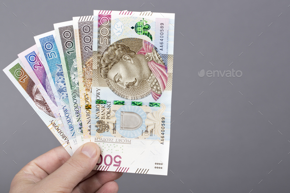 Polish Zloty in the hand on a gray background - Stock Photo - Images