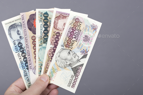 Old Polish Zloty in the hand on a gray background - Stock Photo - Images