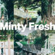 14 Minty Fresh Lightroom Presets