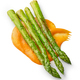 roasted steamed asparagus - PhotoDune Item for Sale
