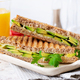 Vegan sandwich with cheese and avocado. Vegetarian breakfast. - PhotoDune Item for Sale
