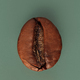 Macro photography of roasted coffee bean on green background - PhotoDune Item for Sale