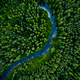 Aerial view of green grass forest with pine trees and blue bendy river flowing through the forest - PhotoDune Item for Sale