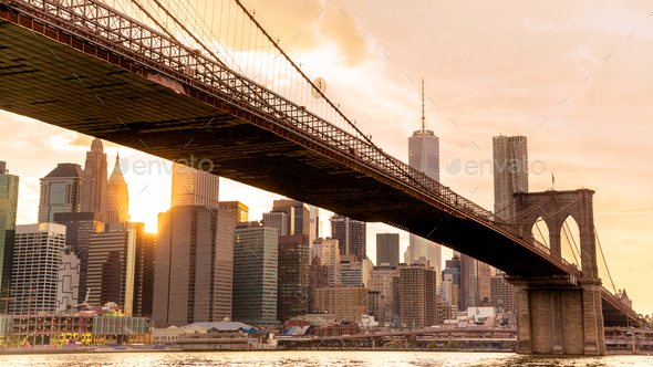 Low angle shot of the scenic Brooklyn Bridge Park located in New York