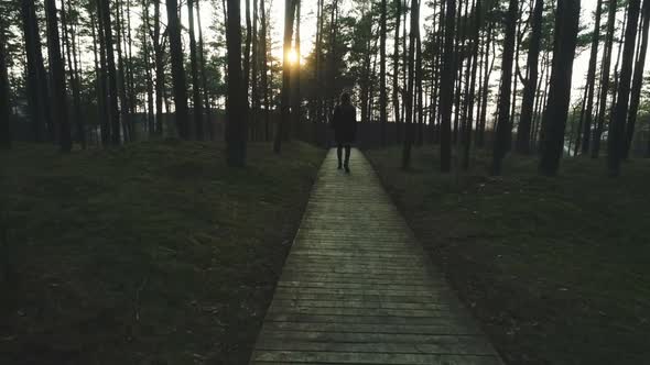 Lonely Girl Walking on Wooden Path in Forest
