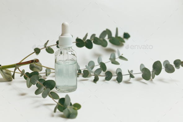 Glass dropper bottle with and branch of eucalyptus near it on white background - Stock Photo - Images