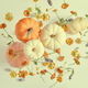 pumpkins and flowers - PhotoDune Item for Sale
