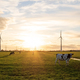 Cows graze in a pasture against the background of wind turbines, a beautiful meadow - PhotoDune Item for Sale