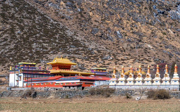 Buddha Stupa - Stock Photo - Images