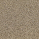 beach Sand texture background -  Sandy beach Top view - PhotoDune Item for Sale