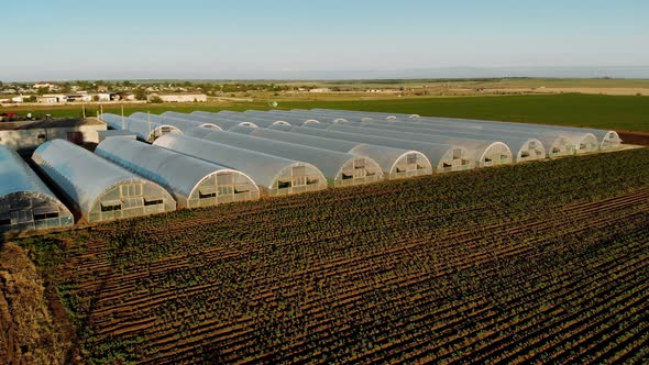 Aerial Drone View of Fields of Greenhouses on a Sunset with Clear Blue Skies alt