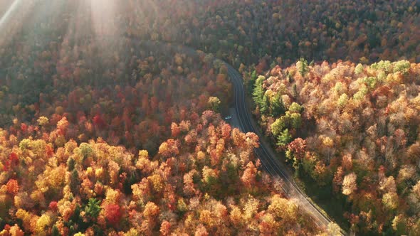 Aerial flythrough of Winding Road Through Autumn Trees with Fall Colors in New England