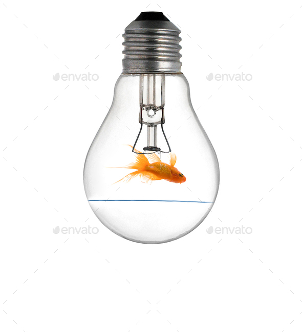 Gold small fish in light bulb - Stock Photo - Images