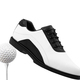 Golf shoe - PhotoDune Item for Sale