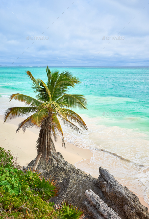 Tropical beach of Tulum, Yucatan Peninsula, Mexico. - Stock Photo - Images