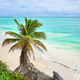 Tropical beach of Tulum, Yucatan Peninsula, Mexico. - PhotoDune Item for Sale