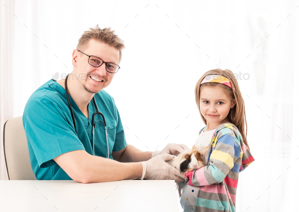 Vet doctor inspect girls guinea pig
