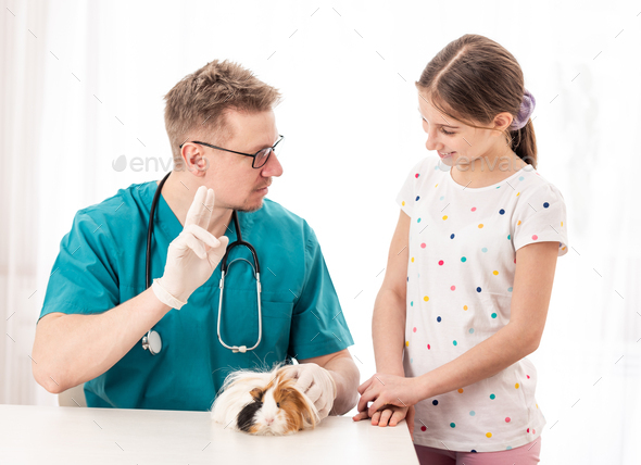 Vet doctor teaching teen