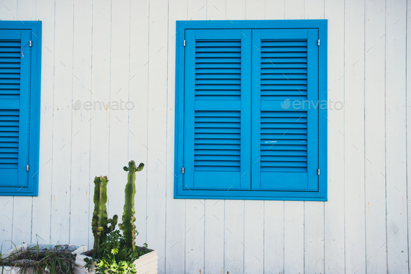 White facade with cactus and blue door on magic Procida Island. - Stock Photo - Images