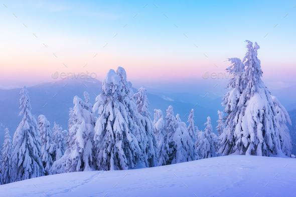 Fantastic winter landscape - Stock Photo - Images