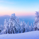 Fantastic winter landscape - PhotoDune Item for Sale
