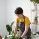 Middle aged woman in an apron clothes takes care of potted plant in pot. Home gardening and - PhotoDune Item for Sale