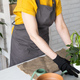 Middle aged woman in an apron clothes takes care of potted plant in pot. Home gardening and - PhotoDune Item for Sale