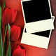 Polaroid frame and tulips on vintage background - PhotoDune Item for Sale