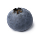 Single fresh ripe blueberry on white background close up - PhotoDune Item for Sale