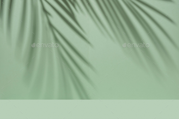 Shadow from a palm branch on a green mint background to show the product and promote it - Stock Photo - Images