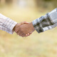 Handshake, thank you and shaking hands outdoor of agriculture b2b partnership with teamwork. Welcom - PhotoDune Item for Sale