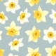 White and Yellow Daffodils Vector Seamless Pattern