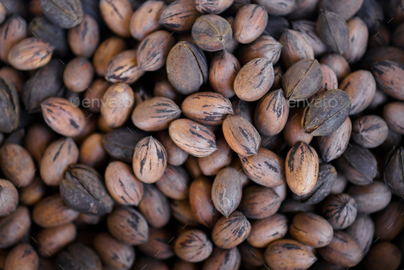 Top View of a Pile of Pecans - Stock Photo - Images