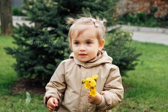 Little toddler baby girl in trench coat picking yellow dandelions in spring garden. Cute baby girl - Stock Photo - Images