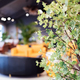 Defocused Empty abstract blurred bokeh background of modern cafe or restaurant with potted green - PhotoDune Item for Sale