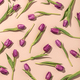 Pink tulips pattern on pink background flat lay, top view - PhotoDune Item for Sale