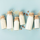 on dairy plant based milk in bottles  - PhotoDune Item for Sale