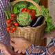 Local food, organic produce, farmer vegetables delivery - PhotoDune Item for Sale