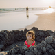 Little girl playing on the beach, digging hole in sand. - PhotoDune Item for Sale
