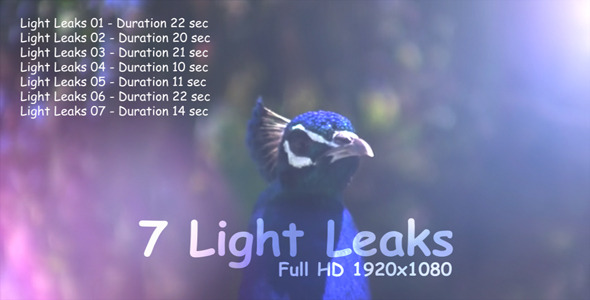 Light Leaks 5