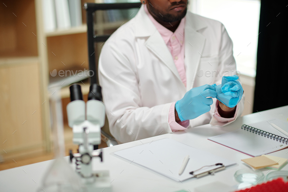 Scientist Putting on Blue Gloves - Stock Photo - Images
