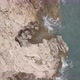 Rocks and Waves. Aerial Vertical Shot. Flat Color - VideoHive Item for Sale