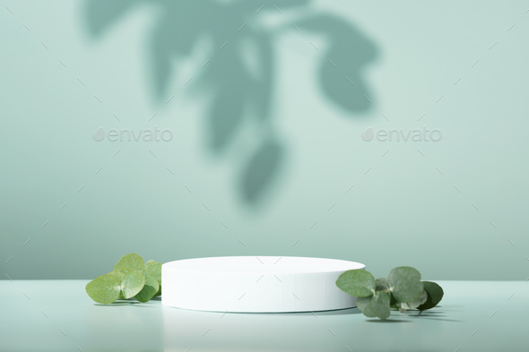 Abstract empty white podium with eucalyptus leaves on blue background - Stock Photo - Images
