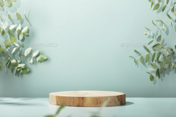 Wood slice podium with eucalyptus leaves on blue background for cosmetic product mockup - Stock Photo - Images