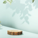 Wood slice podium with eucalyptus leaves on blue background for cosmetic product mockup - PhotoDune Item for Sale