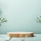 Wood slice podium with eucalyptus leaves on blue background for cosmetic product mockup - PhotoDune Item for Sale