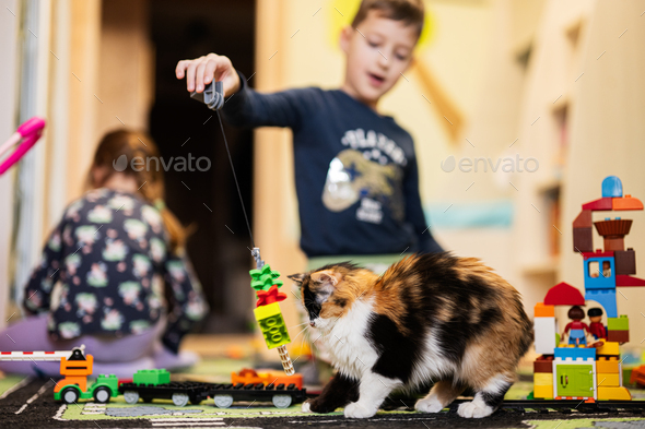 Child leisure activity, creative game. Brother and sister play at home. Boy with cat. - Stock Photo - Images